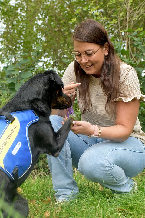 A woman crouches close to an assistance dog in the grass.
