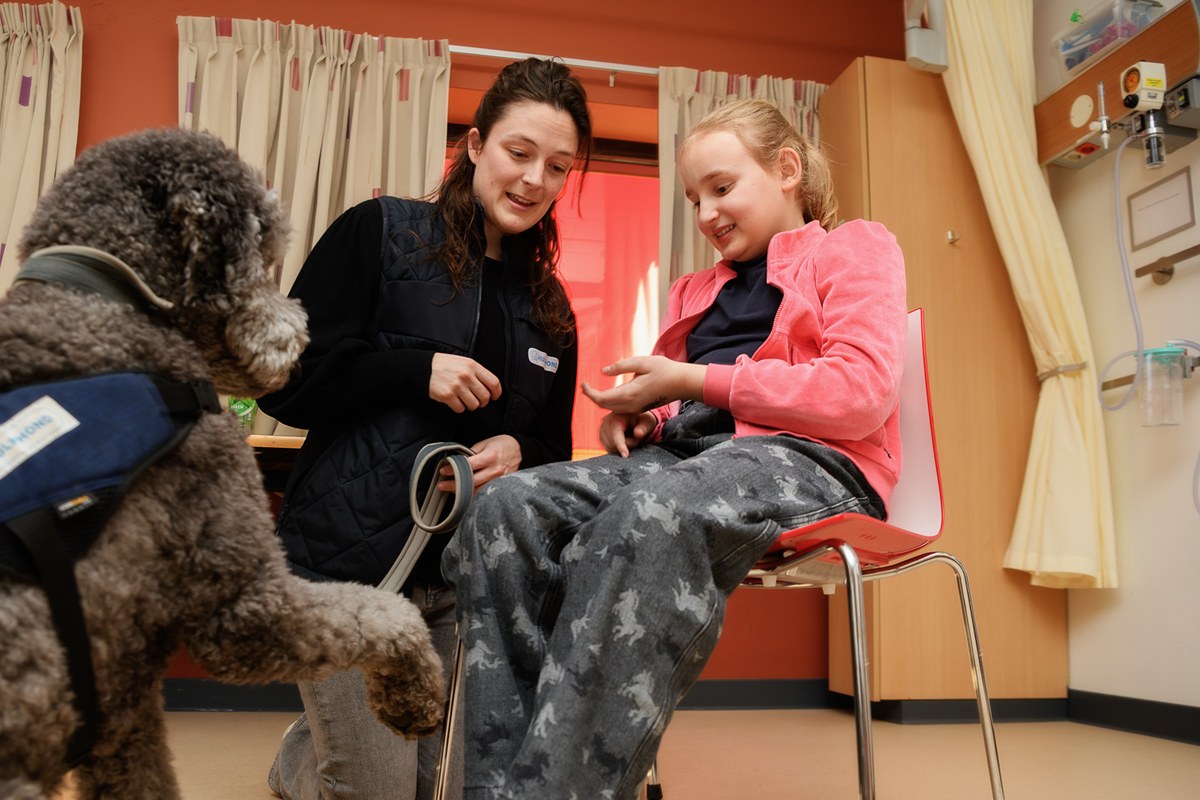 A seated child reaches towards a grey assistance dog while its handler watches.