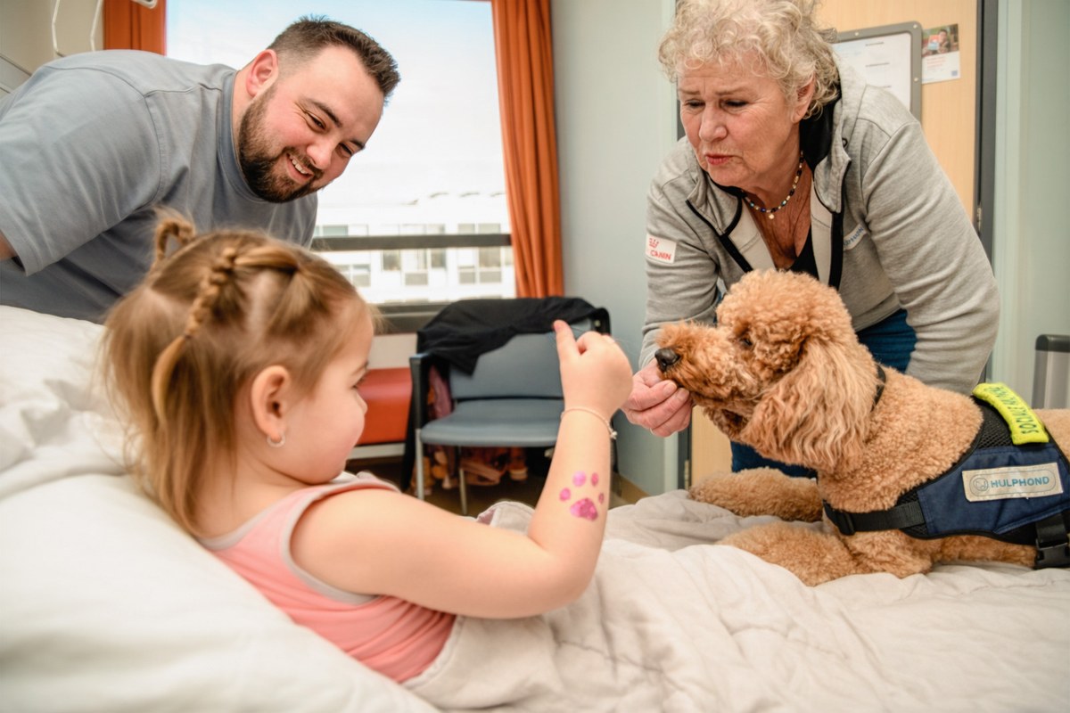 A child on a hospital bed reaches towards a brown assistance dog as two adults watch.