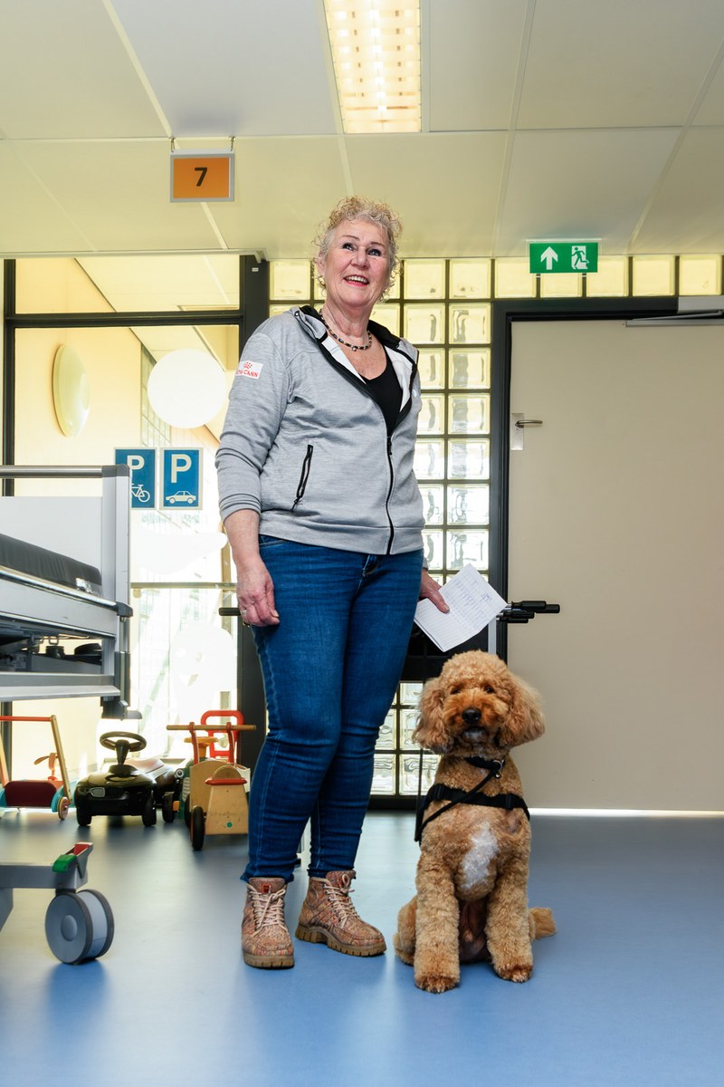 A handler stands with a seated brown assistance dog in a hospital corridor.