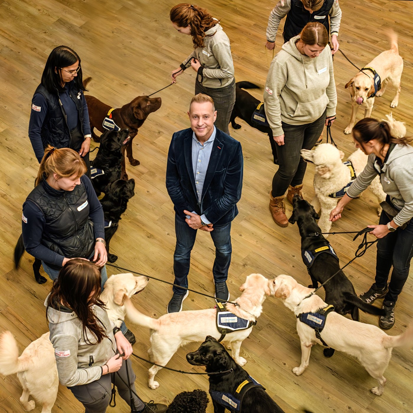 Hulphond Nederland colleagues together with assistance dogs